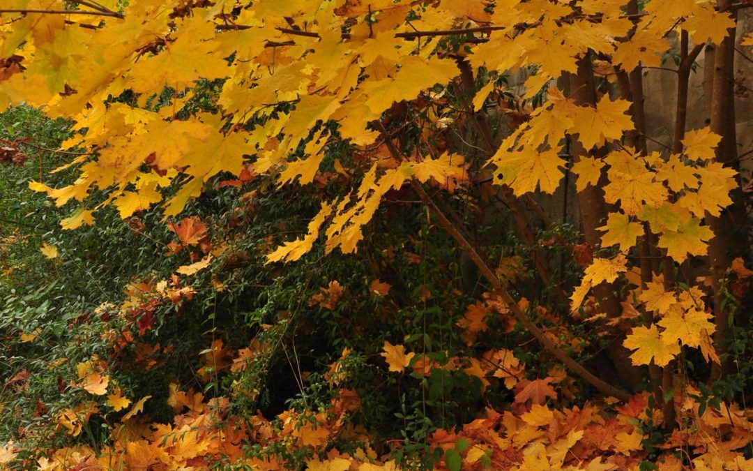 Marketing Minute: What Matters This October